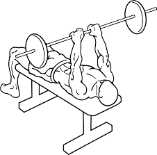 Close Grip Bench Press: yet another very popular exercise for the gym