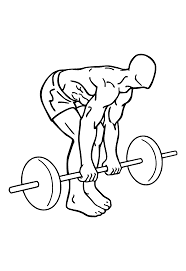 Deadlift, another very Popular gym Exercises: 30 Popular Beginners' Gym Exercises