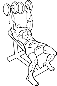 Incline Bench Press 1: 30 Popular Beginners' Gym Exercises