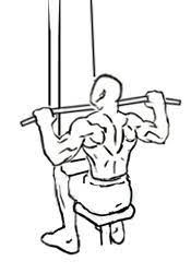 Lateral Pull Downs: yet another very popular exercise