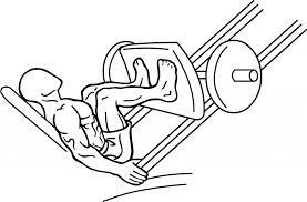 Leg Press, another popular Exercise:30 Popular Beginners' Gym Exercises 