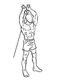 Overhead Tricep Extension 1: 30 Popular Beginners' Gym Exercises