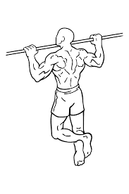 Pull Ups: 30 Popular Beginners' Gym Exercises