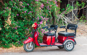 Two Seater Senior Citizen's Electric Mobility Scooter, Take The Grandchildren 